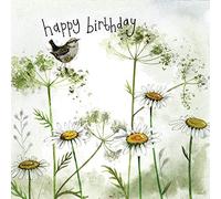 ALEX CLARK Wren and Daisies Birthday Card