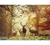 Heye Puzzles - 1000 piece jigsaw puzzle Stags HY29805