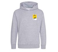 Alexander Isak Sweden Icon Frame Kids Hoodie - Gray / 5-6 years