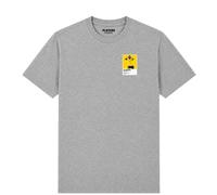 Alexander Isak Sweden Icon Frame Men's T-Shirt - Gray / 2XL