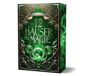 Alexander Kopai Die 12 Häuser der Magie - Schicksalsretter: Softcove (Paperback)