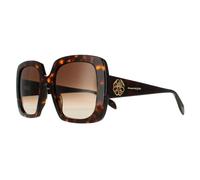 Alexander McQueen Square Womens Tortoise Brown Gradient AM0378S - One Size