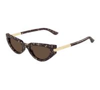 Alexander McQueen AM0520S 002 Woman Sunglasses Acetate Havana Brown Cat Eye