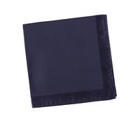 Alexander McQueen Pocket Square - Blue - One size