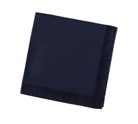 Alexander McQueen Pocket Square - One size