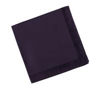 Alexander McQueen Pocket Square - One size