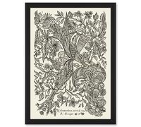 Alexander Senegat Design For Textiles Etching Artwork Framed Wall Art Print A4 Artery8 Black One Size
