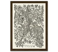 Alexander Senegat Design For Textiles Etching Artwork Framed Wall Art Print A4 Artery8 Brown One Size