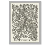 Alexander Senegat Design For Textiles Etching Artwork Framed Wall Art Print A4 Artery8 Light Grey One Size