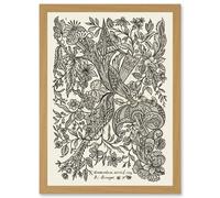 Alexander Senegat Design For Textiles Etching Artwork Framed Wall Art Print A4 Artery8 Light Oak One Size