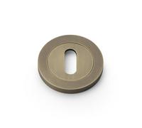 Alexander & Wilks Concealed Fix Escutcheon Standard Profile - Italian Brass