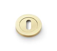 Alexander & Wilks Concealed Fix Escutcheon Standard Profile - Satin Brass Pvd