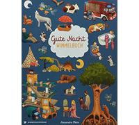 Alexandra Helm Gute Nacht Wimmelbuch: Gute Nacht Geschichten in Bilde (Hardback)