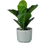 Alexandra House Living White Ceramic Planter Set 4 Pieces