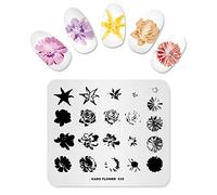 Alexnailart Pretty Nail Art Stamping Plate Flower Chrysanthemum Star Theme Manicure Print Tool (FL035)