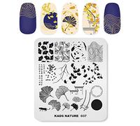 Alexnailart Professional Nail Stamping Plate Autumn Leaves Ginkgo Verse Patterns Templates Manicure Stencil Nail Art Print Tool (NA037)