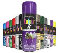 AlezyB - 1 x All Purpose Proper Purple Aerosol Spray Paint 250ml. Excellent Coverage, Quick & Fast Drying for interior & exterior Multipurpose Spray for Metal | Plastic | Wood | Glass - AP250-2