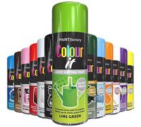 AlezyB 1x Lime Green All Purpose Spray Paint 400ml Professional Quality and Fantastic Finish, Interior, Exterior, Household Multipurpose Spray for Metal | Plastic | Wood | Glass