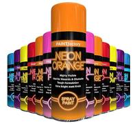 AlezyB 1x Neon Spray Paint Orange 200ml Flouroscent Aerosol Extra Bright DIY Graffiti (Banksey) Paint, Assorted Colour Paint