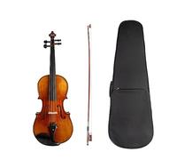 ALFAAL 4/4 3/4 1/2 1/4 1/8 Acoustic Violin Spruce Spruce Top Professional Stringed Instrument W/Case Bow For Violinist Lover (Color : 4/4)