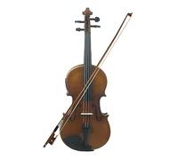ALFAAL 4/4 Electric Acoustic Violin Professional String Instrument Solid Wood Fiddle With Case Bow Musical Instrument Accessories