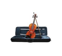 ALFAAL 4/4 Violin Spruce Solid Wood Professional Performance Teaching Violin With Case Bow Stringed Instruments