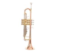 ALFAAL Adult Trumpets B Flat Trumpet Instrument Beginner Professional Performance Piston Trumpet Adult Trumpet Instrument(C)