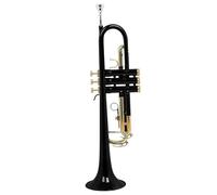 ALFAAL Adult Trumpets B-Flat Trumpet Set Brass Tube Golden Brass Instrument Brass Instrument Accessories Suitable For Performance(Black)