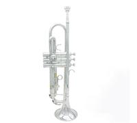 ALFAAL Adult Trumpets Bb B Flat Brass Instrument Standard Trumpet With Gloves Cloth Strap Case Musical Instrument Accessories