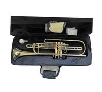 ALFAAL Adult Trumpets Brass BB Tone Bass Trumpet Instrument Easy To Play For Beginners Professionals