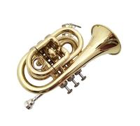 ALFAAL Adult Trumpets Gold Palm Trumpet Pocket Trumpet Musical Instrument B Flat Beginner Band Performance