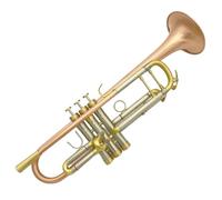 ALFAAL Adult Trumpets Professional Trumpet Musical Instrument Phosphor Bronze Brushed Amplifies The Sound Quality And Thick Trumpet