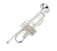ALFAAL Adult Trumpets Silver Trumpet Pipe Flat Instrument Brass Musical Instrument For Music Lovers