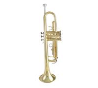 ALFAAL Adult Trumpets Standard Trumpet Instrument B Flat Trumpet Professional Performance Beginner Brass Instrument(B)