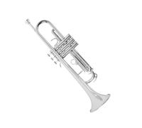 ALFAAL Adult Trumpets Standard Trumpet Instrument In B Flat Key Professional Brass Tube For Beginners(Silver)