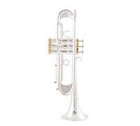 ALFAAL Adult Trumpets TR600GS B Flat Trumpet Instrument Plus Heavy Phosphor Bronze Brushed Silver Plated Professional Performance(A)