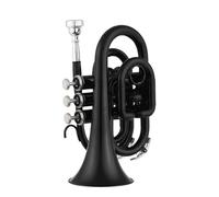 ALFAAL Adult Trumpets Trumpet Brass Instrument Standard Brass Trumpet Bb Flat Brass Material Wind Instrument(Black)