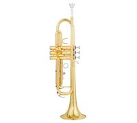 ALFAAL Adult Trumpets Trumpet Instrument B Flat Adult Beautiful Instrument For Beginners To Play(A)