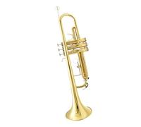 ALFAAL Adult Trumpets Trumpet Instrument B Flat Key Beginner Professional Performance Gold Lacquer Trumpet