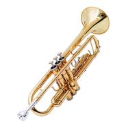 ALFAAL Adult Trumpets Trumpet Instrument B Flat Three-note Trumpet Beginner Performance Professional Band Brass Instrument