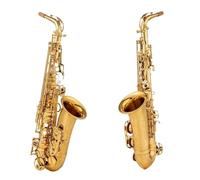 ALFAAL Alto Saxophone Antique Copper Plated E-flat Professional Musical Instrument With Mouthpiece Reed Neck (Color : 01)