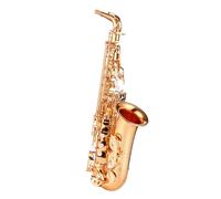 ALFAAL Alto Saxophone Instrument For Beginners Adult E-flat Professional Playing Instrument