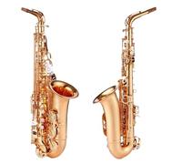ALFAAL Alto Saxophone Instrument For Beginners And Professional Adult E-flat Saxophone Instrument (Color : 1 gold)