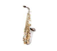 ALFAAL Alto Saxophone Nickel Plated Gold Key Professional Sax Mouthpiece With Case And Accessories (Color : 02)