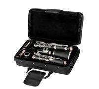 ALFAAL B Flat Clarinet For Beginner Clarinet 17 Key Falling Tune B/ABS Pipe Body Material Clarinet YCH-300