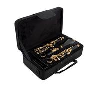 ALFAAL B Flat Clarinet For Beginner Woodwind Instrument Clarinet B Flat 17 Key Black Tube Clarinet Gold-plated Keys