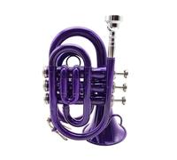 ALFAAL B Flat Lacquer Gold B Flat Palm Trumpet B Flat Pocket Trumpet Palm Trumpet Trumpet Instrument (Color : Purple)