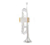 ALFAAL Bb Small Trumpet Silver Golden Key Professional Music Instruments With Case