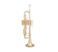 ALFAAL Bb Trumpet B Flat Brass Silver Plated Professional Trumpet Musical Instruments With Leather Case (Color : Gold)