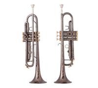 ALFAAL Bb Trumpet Black Nickel Gold Plated Yellow Brass Instruments Bb Trumpete Musical Instruments Silver (Color : Bk nickel gold)